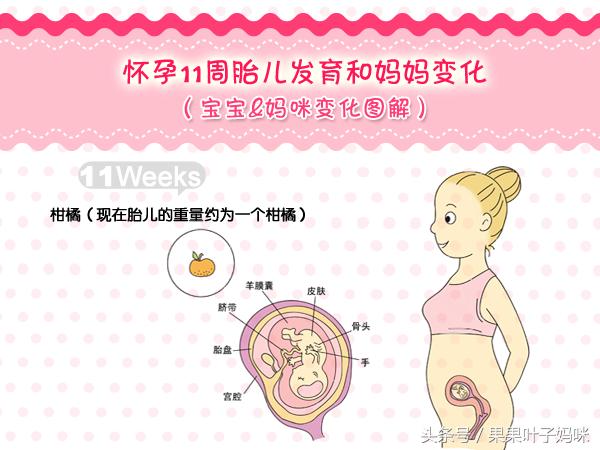 孕妈妈最快乐的事,怀孕妈妈1周到40周