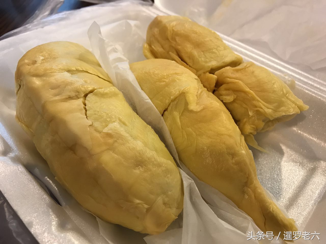 贵的泰国榴莲,泰国的榴莲最便宜多少钱一斤