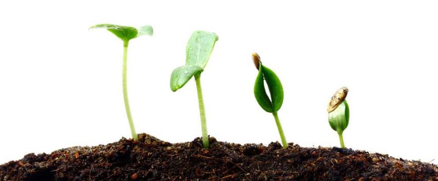 从产品经理视角看运营｜新浪微博副总裁8年运营经验分享总结