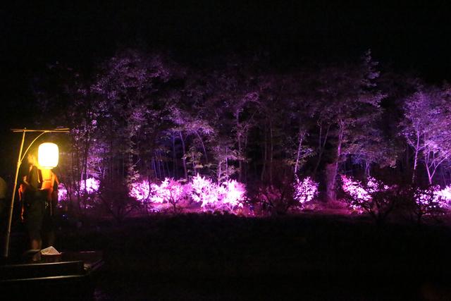 陶渊明桃花源记中的桃源,陶渊明诗中桃花源实景图片