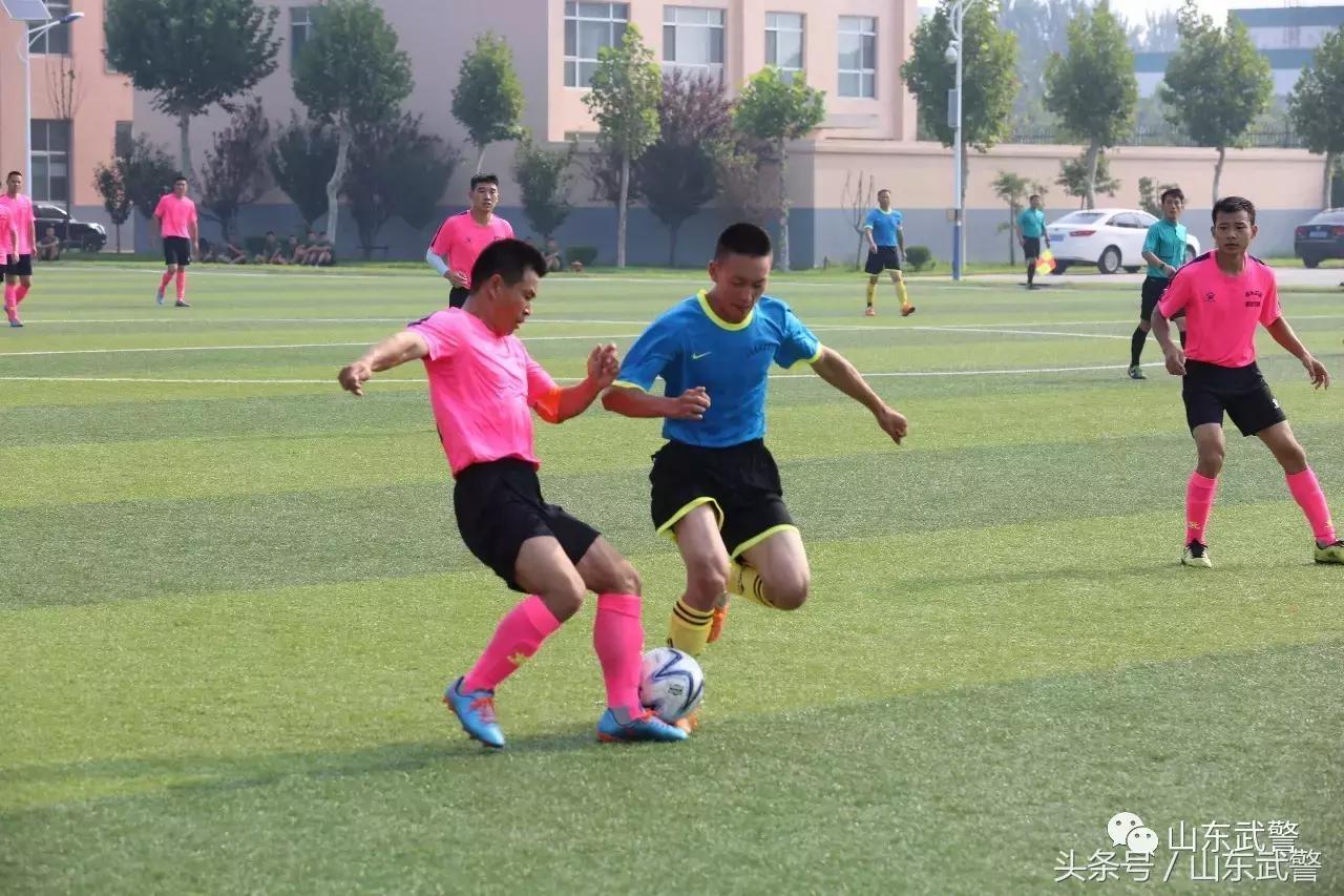 卫士动力110,卫士动力