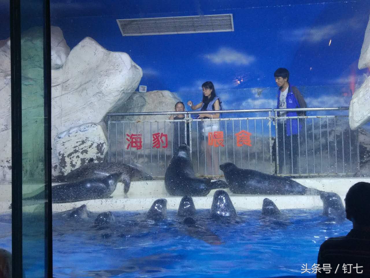 夏天与海绝配,夏天与海洋更配的图片