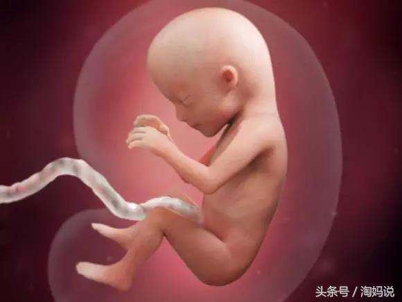 胎儿发育40周全过程注意事项,赞宝宝训练抬头的句子