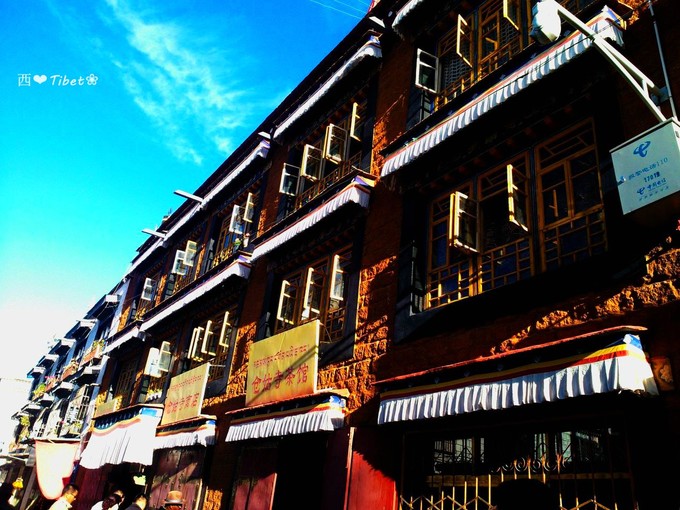 奥古斯都,August的格桑花秘境：我养你！带你去*藏西**啊！