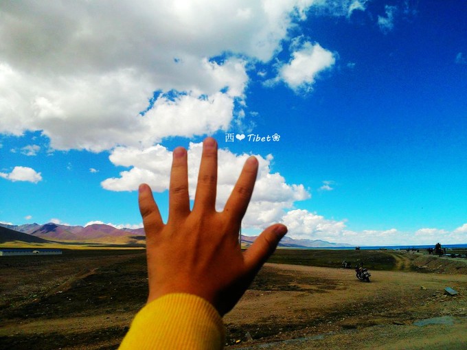 奥古斯都,August的格桑花秘境：我养你！带你去*藏西**啊！