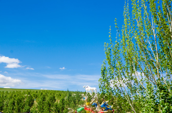 天堂草原锡林郭勒歌词及对白,真正的内蒙古锡林郭勒大草原