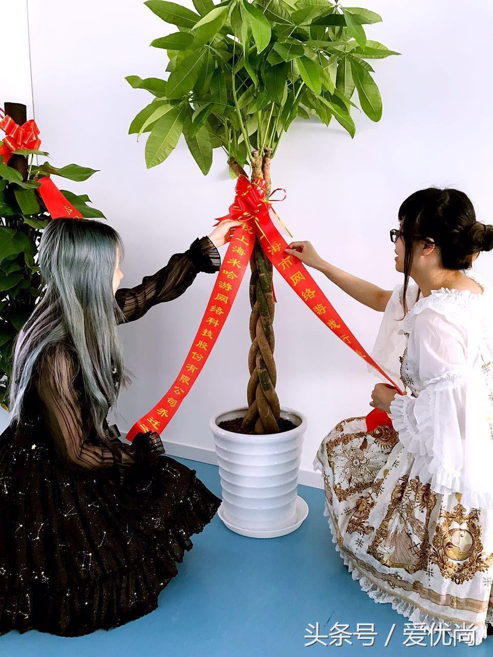 开业乔迁，吉利有寓意的盆栽有哪些？