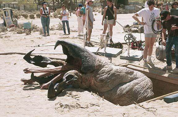 恐怖怪兽电影推荐大片9.0以上评分,有哪些好看的惊悚恐怖怪兽片