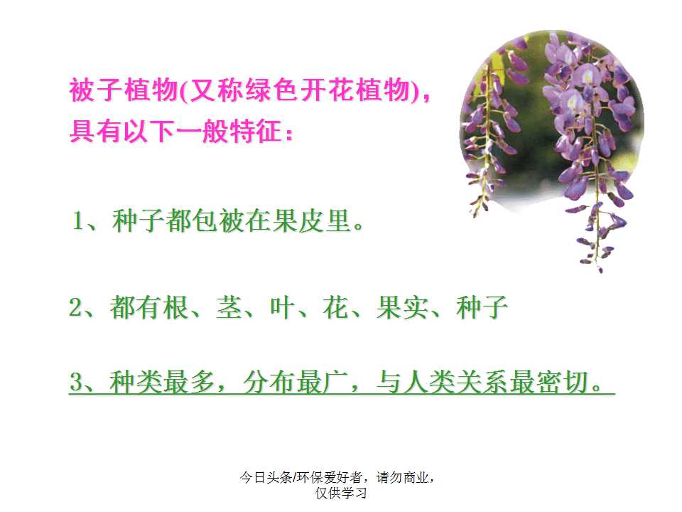 认识植物从身边开始,认识植物的根茎叶各个部分