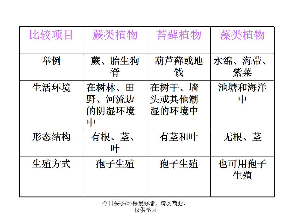 认识植物从身边开始,认识植物的根茎叶各个部分