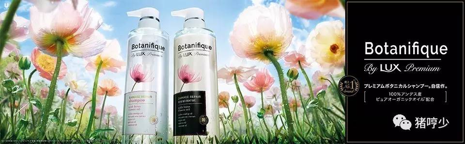 日本带货女郎,日本顶级带货女星