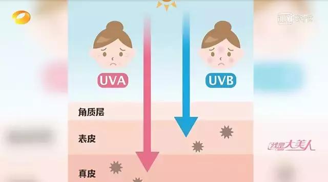 日本防晒霜哪款好用,好用的国产防晒霜测评图