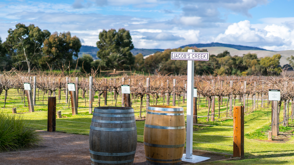 澳洲生蚝哪里最好,全球顶级生蚝多少钱一个