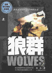 最好听的五本军事小说,十年书虫推荐十本巅峰军事小说