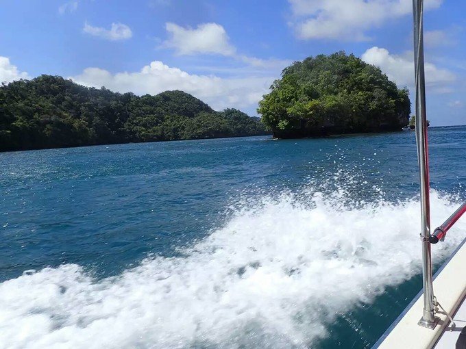 看鲨鱼，玩泥巴，看男人穿婚纱，带你看不一样的帕劳