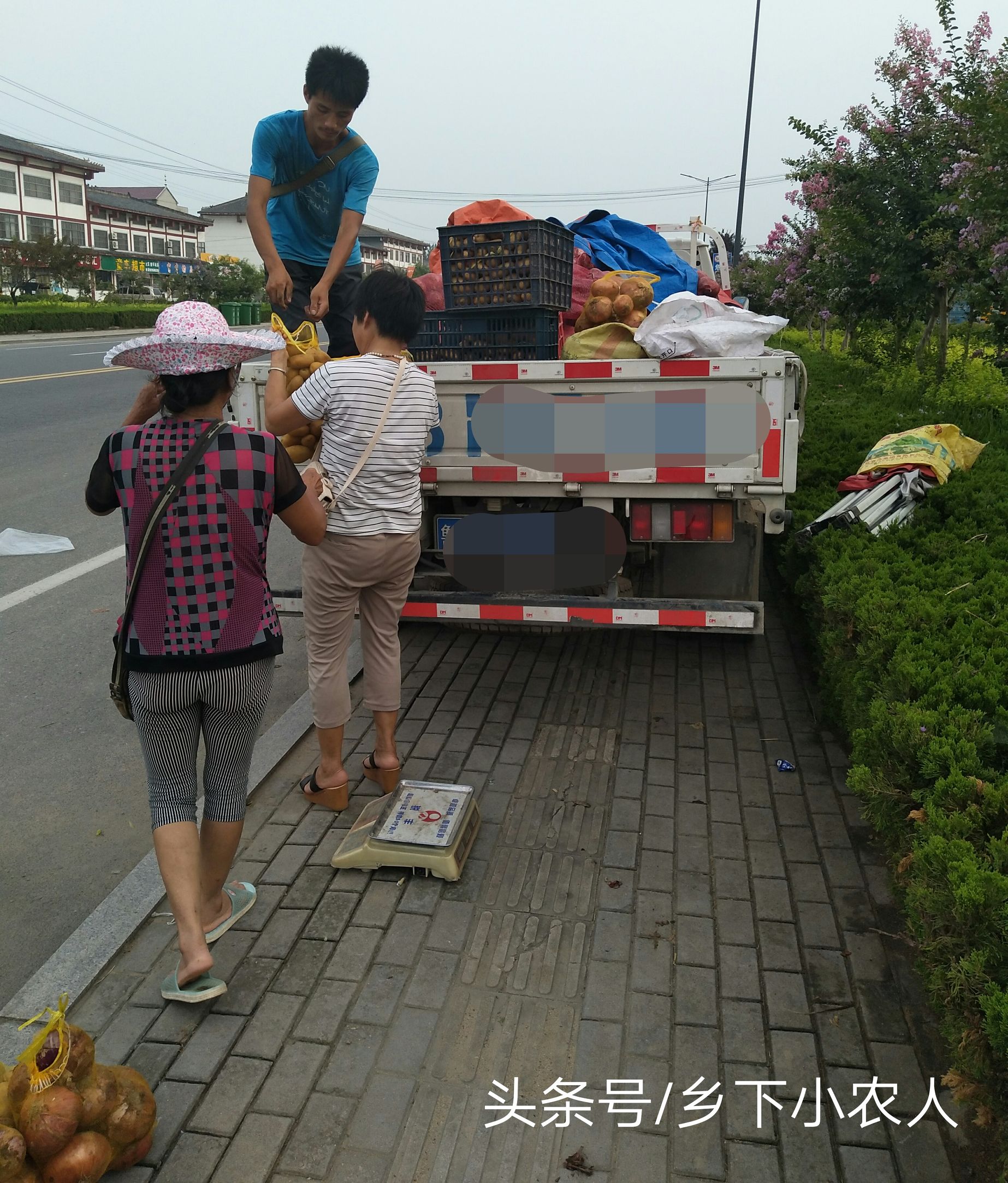 小伙摆摊卖葱一小时赚100元,农村小伙卖土豆