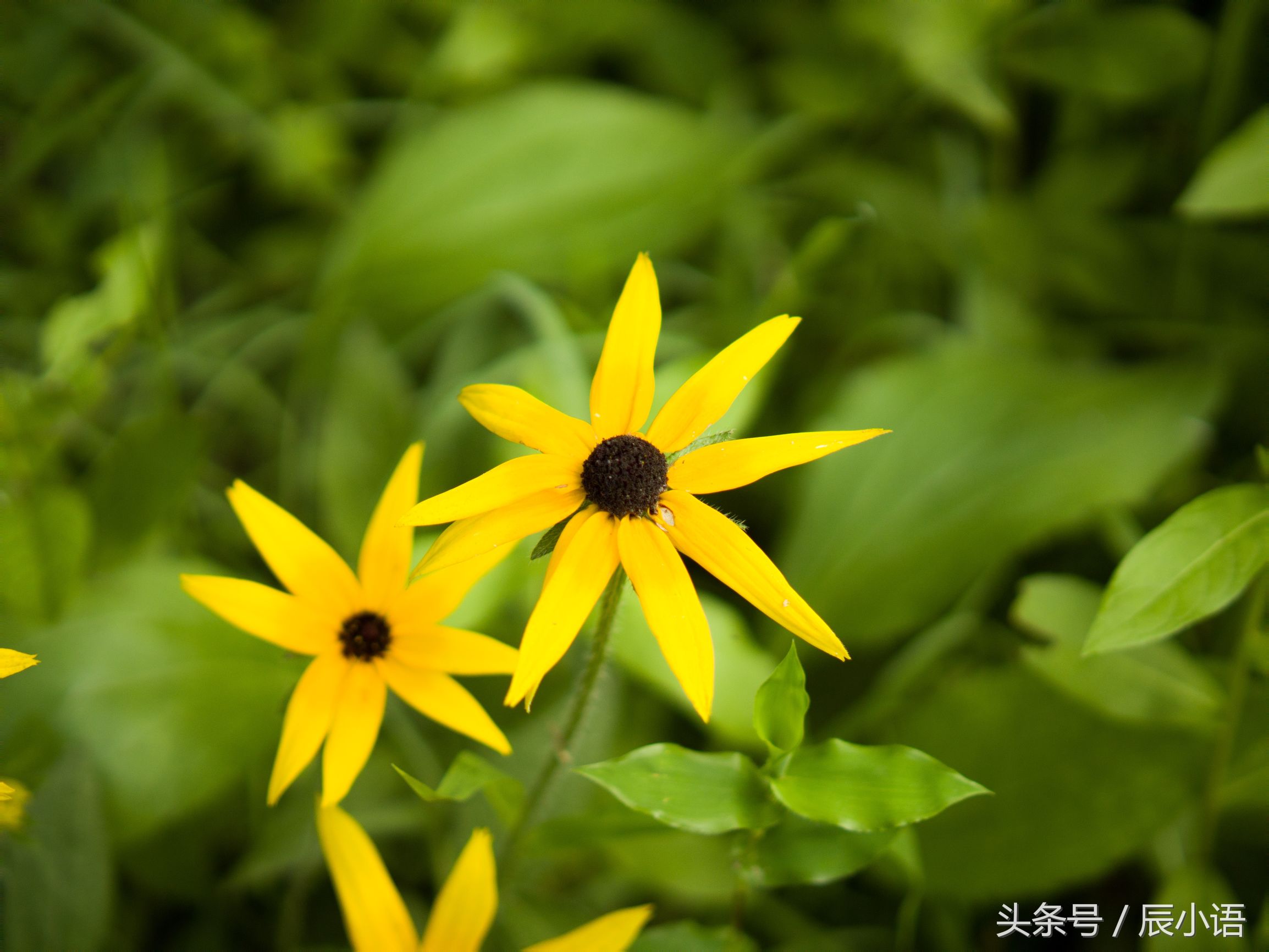 小蚁微单相当于什么相机,小蚁微单深度评测