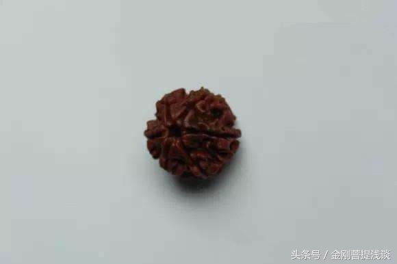 金刚菩提阴皮什么意思,金刚菩提子返碱的正确处理方法