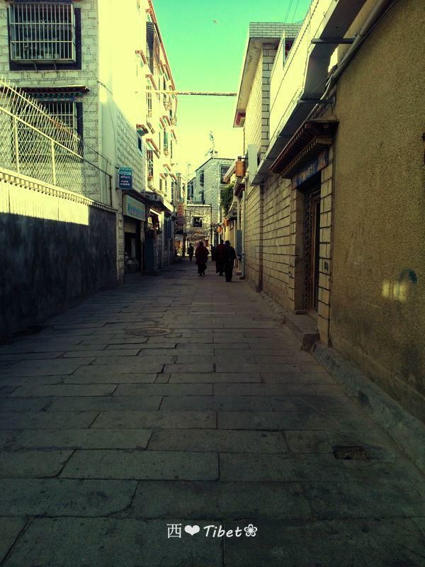 奥古斯都,August的格桑花秘境：我养你！带你去*藏西**啊！