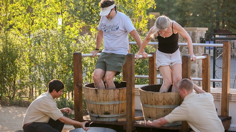 国外葡萄酒是用脚踩的吗,脚踩出来的葡萄酒好喝吗