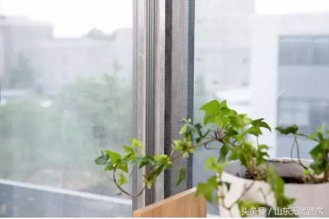 大济南“宜家”旋风登场，性价比使用率超高物品大清单