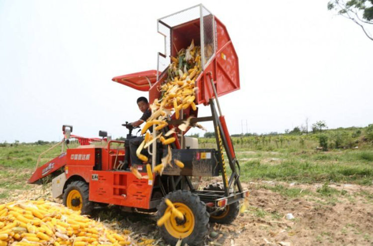 中型玉米收获机最新款价格,平原玉米脱粒机