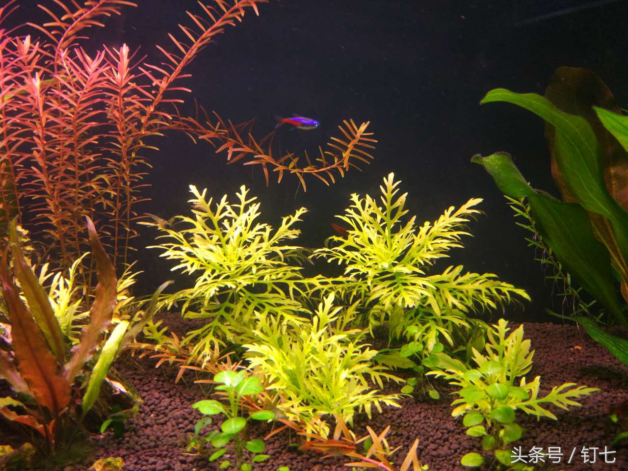 夏天与海绝配,夏天与海洋更配的图片