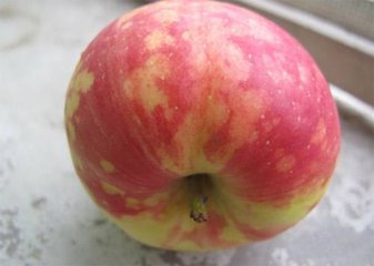 防治苹果的霉心病的最佳药物,苹果花脸病是什么造成的