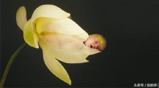 什么是胎梦如何解读胎梦的含义,胎梦一般会梦到啥