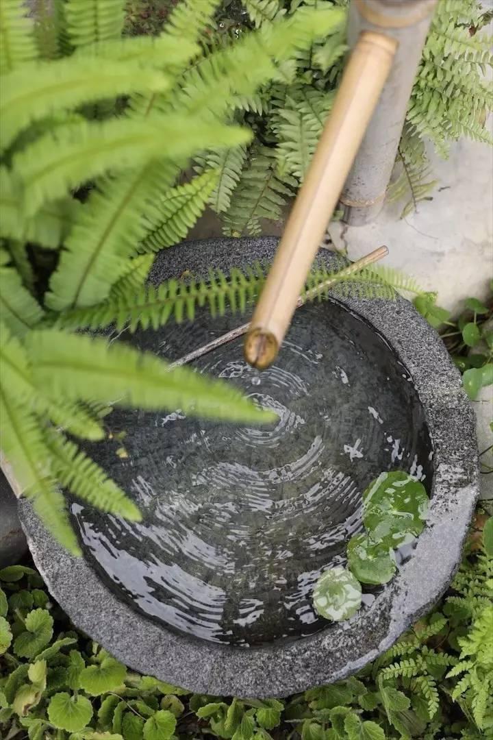 90后帅哥花3000元爆改出租屋后，又买了个破院子