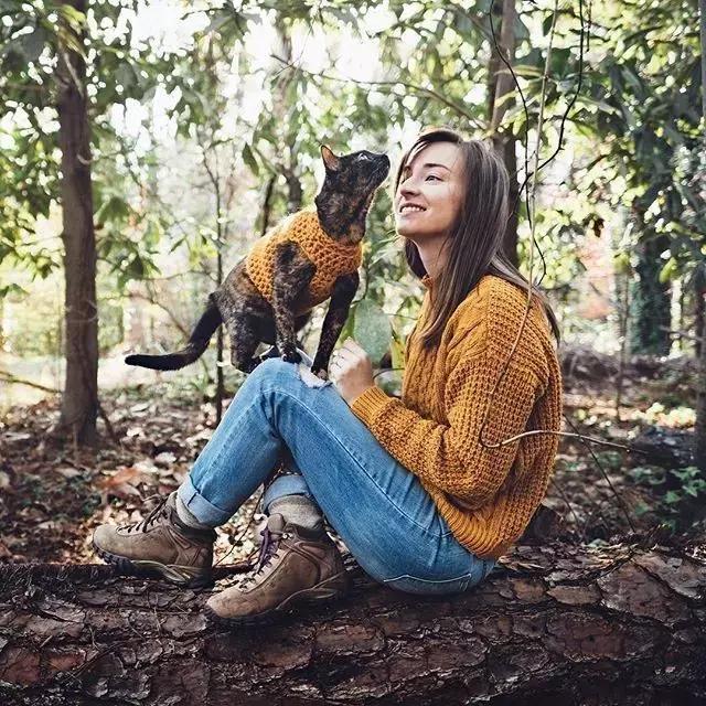 玳瑁猫有什么好,玳瑁猫猫界有多受欢迎