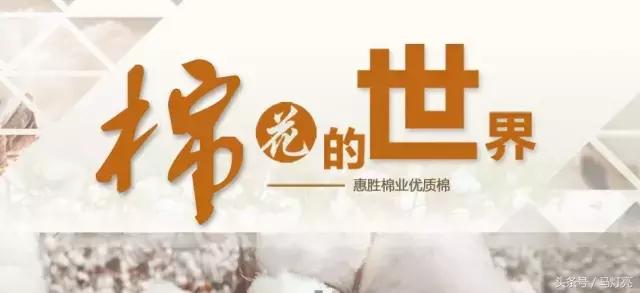 鄢陵惠胜棉业-晁总通过学习升级到网络营销3.0时代