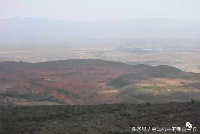 风动？树动？心动！致你，Kenya