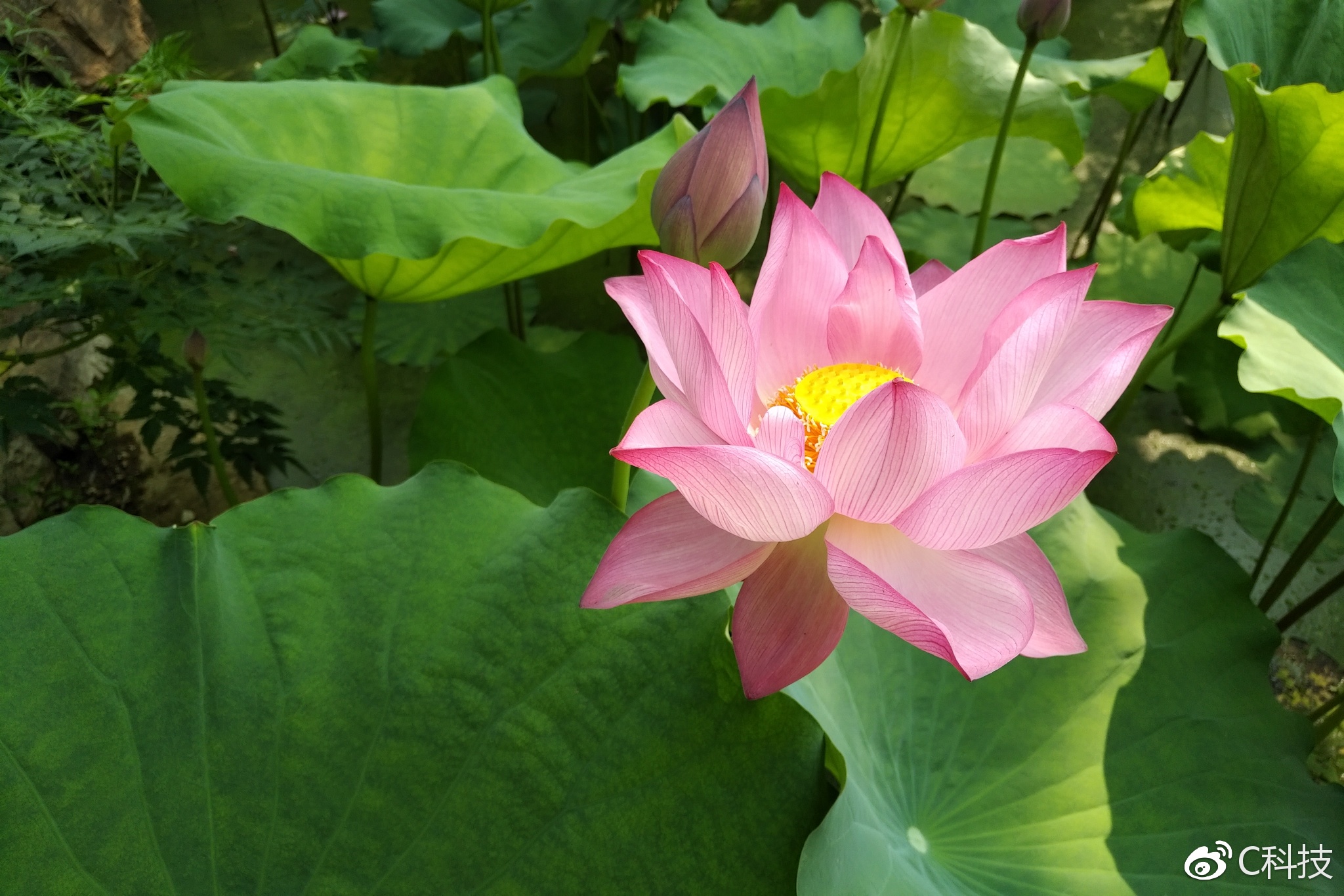 黑莓keyone上手攻略,黑莓keyone国行版正式发布