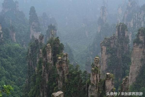 上海到张家界五日游攻略,找一下去张家界天门山的线路