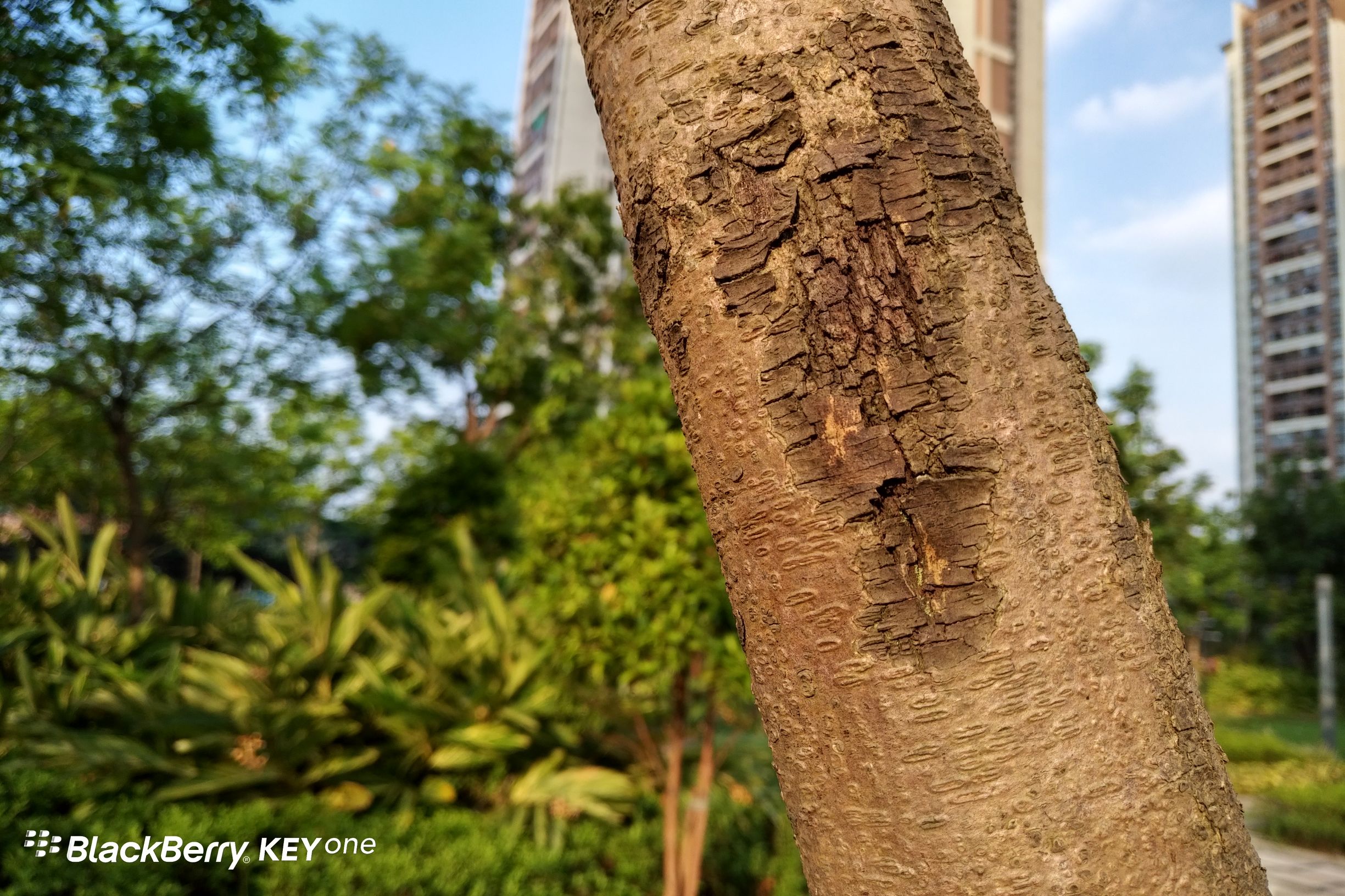 黑莓KeyOne国行上手评测：全键盘情怀的又一次升华
