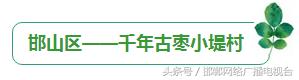 邯郸十大美丽乡村是哪,邯郸十大最美乡村