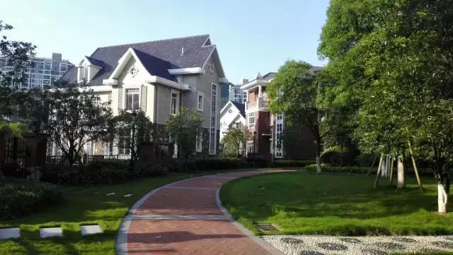 冰雪奇缘取景地国家,冰雪奇缘拍摄在森林里