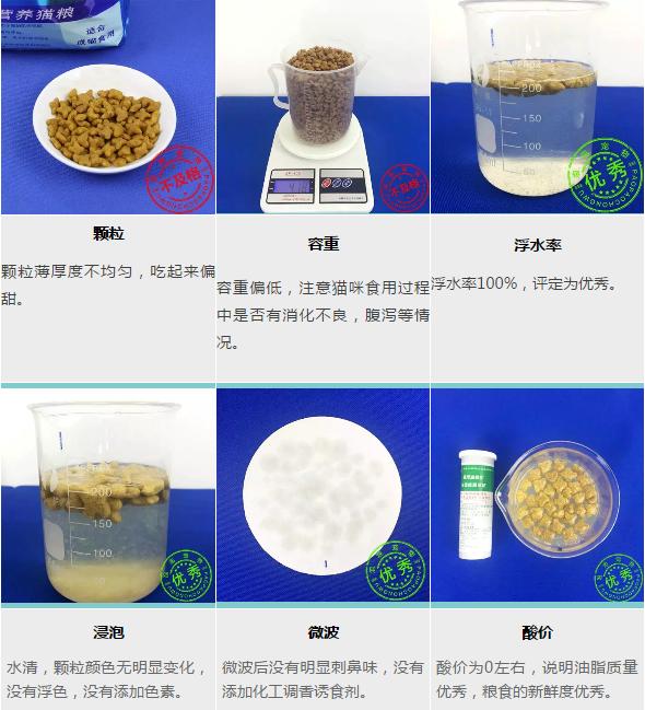 适合美国短毛猫吃的猫粮,适合喂土猫的猫粮
