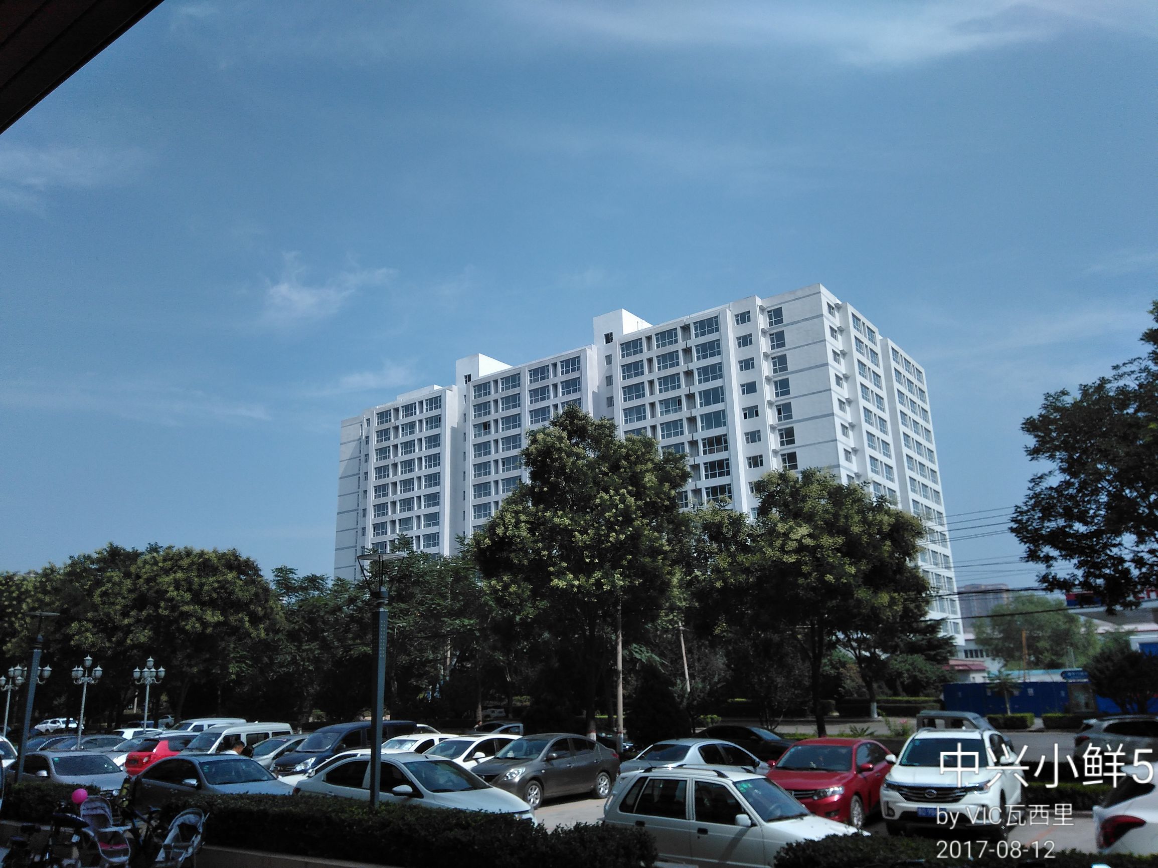 中兴小鲜5支持全网4g,手机除了处理器还有什么