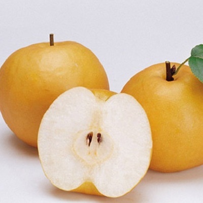 遇到咳嗽咳痰患者怎么处理,如何缓解宝宝咳嗽有痰出不来