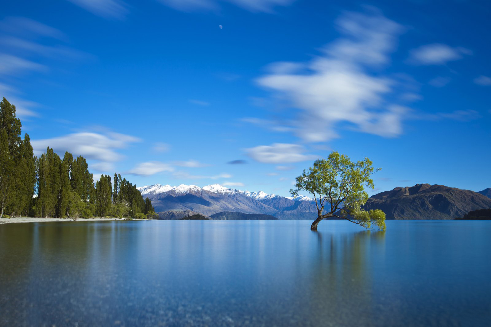 现实羊村是什么样子的,厉害了现在的农村