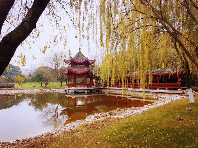 七天六晚长沙张家界吃货视角带你领略冰天雪地的张家