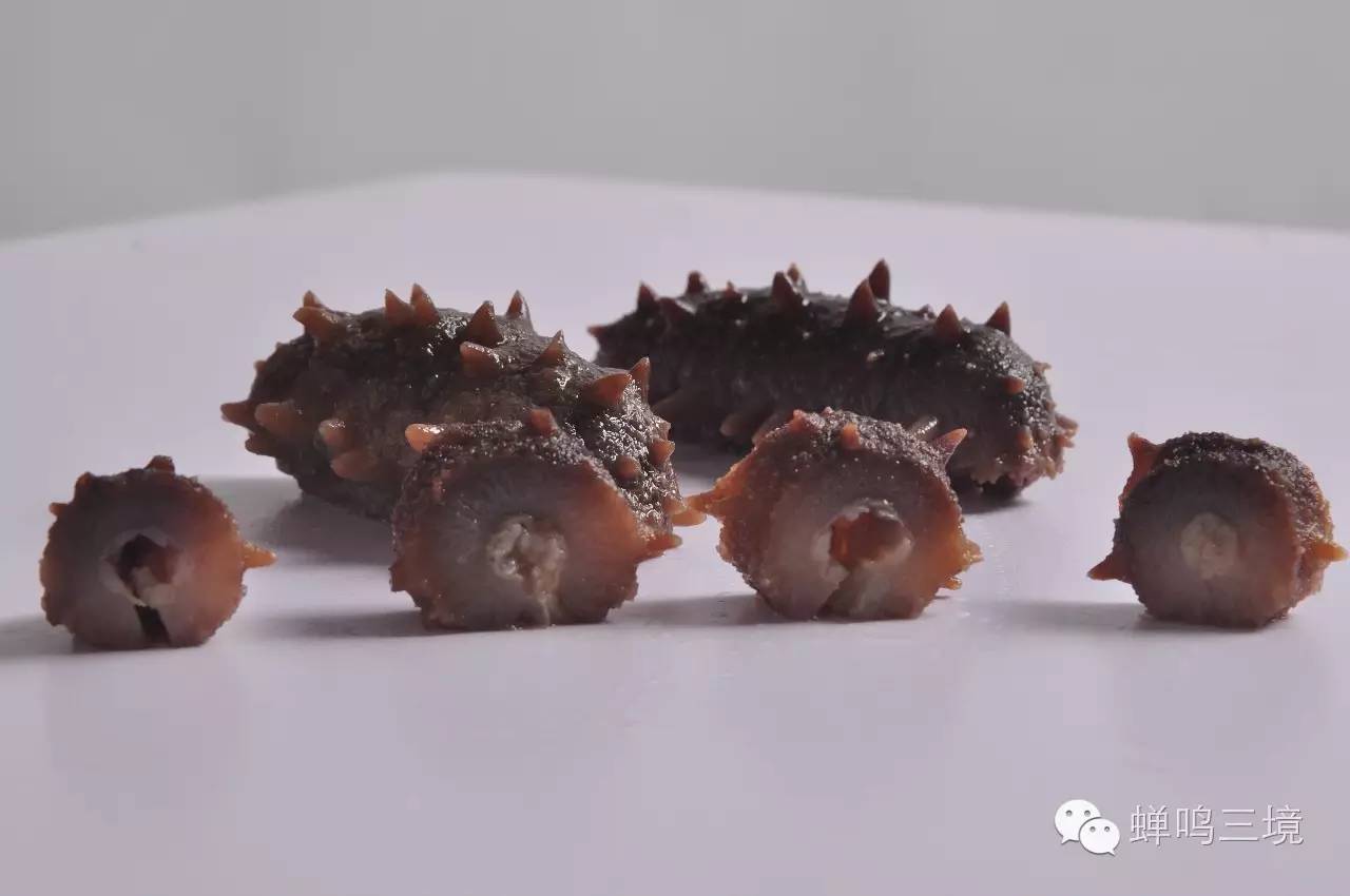 科学养生视频讲解大全,海参即食养生滋补介绍