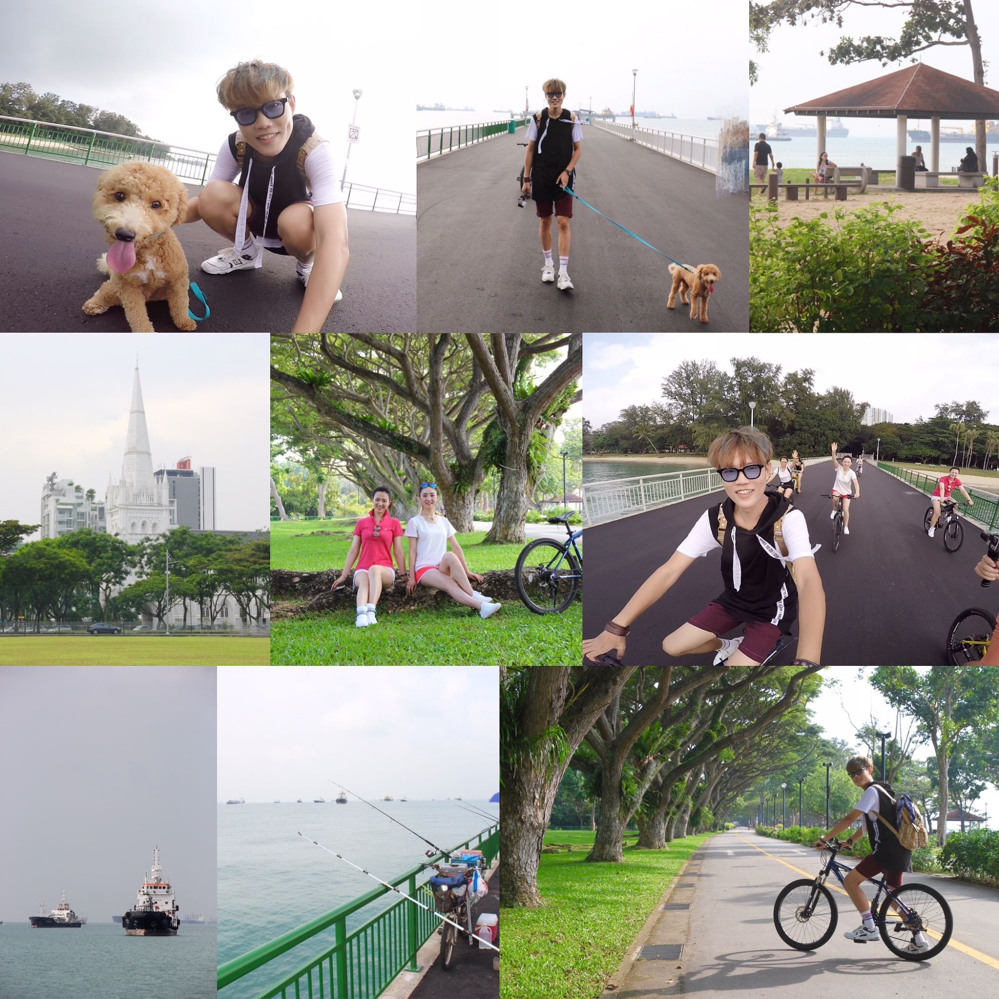 新加坡七天旅游攻略,7天新加坡之旅