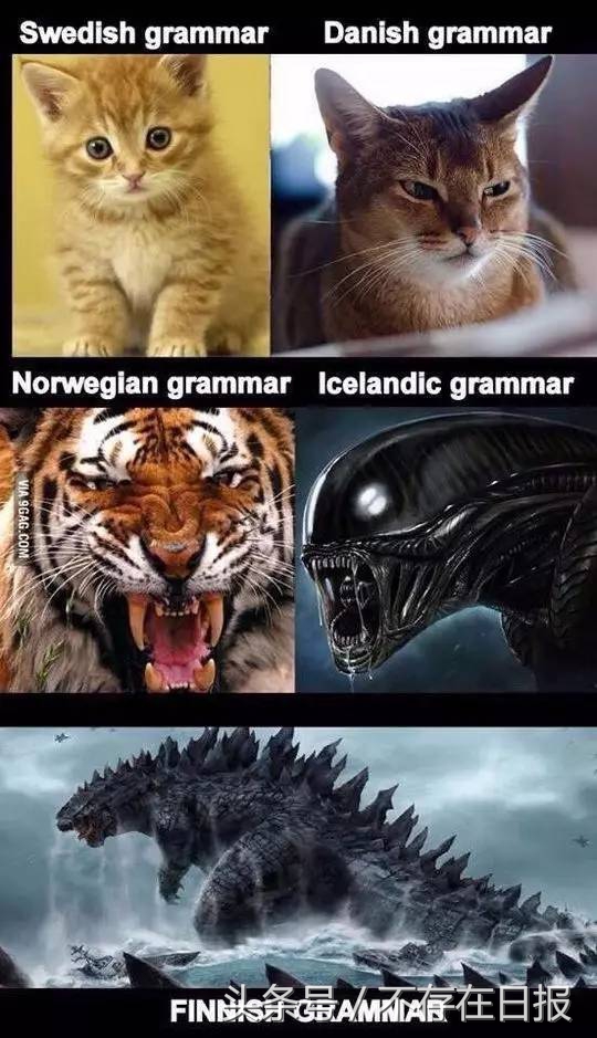 “冷”这件事，给芬兰带来了什么？｜北欧科幻tour