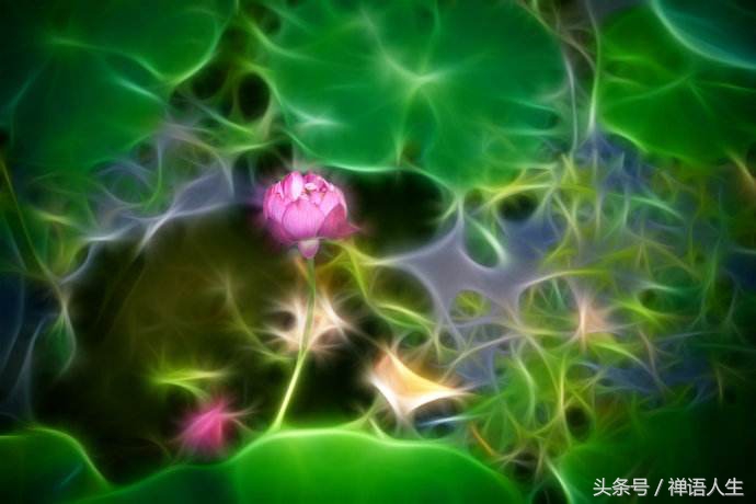 南怀瑾修行最怕着魔,南怀瑾七日禅修全集