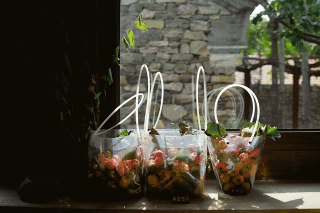 天津最美“民宿”，偷得浮生半日闲，愿你也能把日子过成诗！