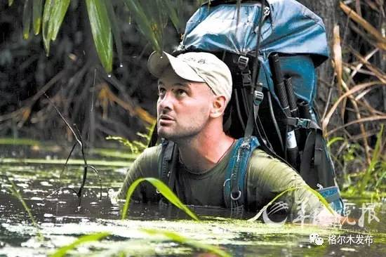 严厉打击毁林开垦和非法侵占林地,森林资源管理严查