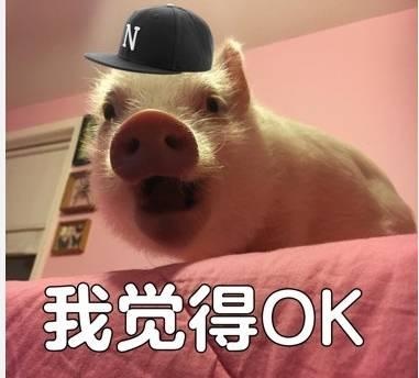 中国有嘻哈决赛红花会等待,中国有嘻哈红花会表演